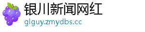 银川新闻网红